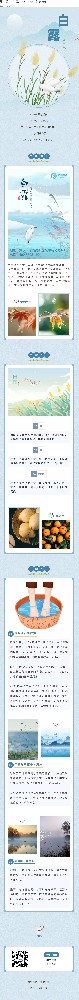 今日白露|白露巧养生，莫负好时光！