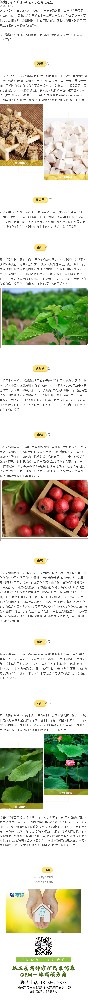 药食同源|降血脂功能成分原料还得看这些！